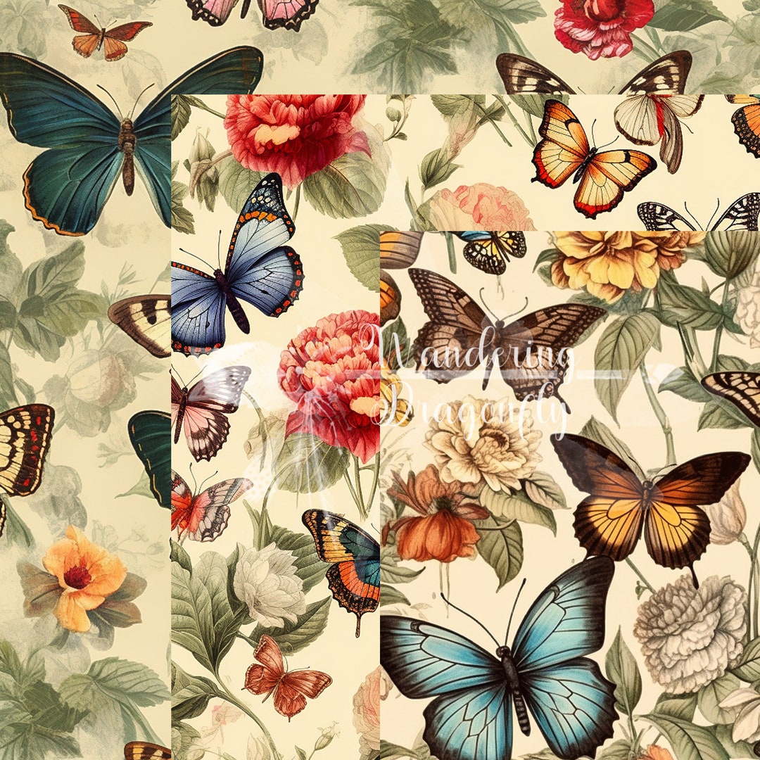 Vintage Butterfly Digital Paper | Jpeg Files | 3 Papers - Etsy