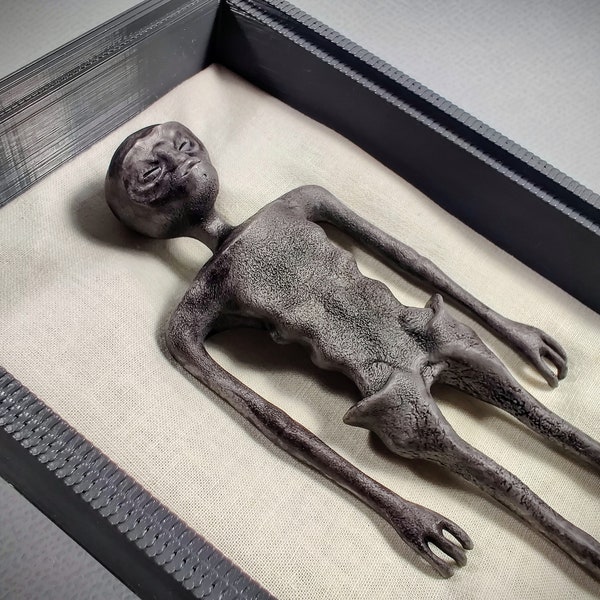 Momie extraterrestre de Nazca dans une vitrine - Extraterrestre mexicain - Corps non humain