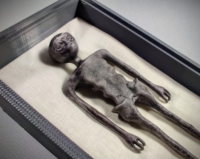 Alien Mummy of Nazca in display case - Mexican Alien - Non-human body
