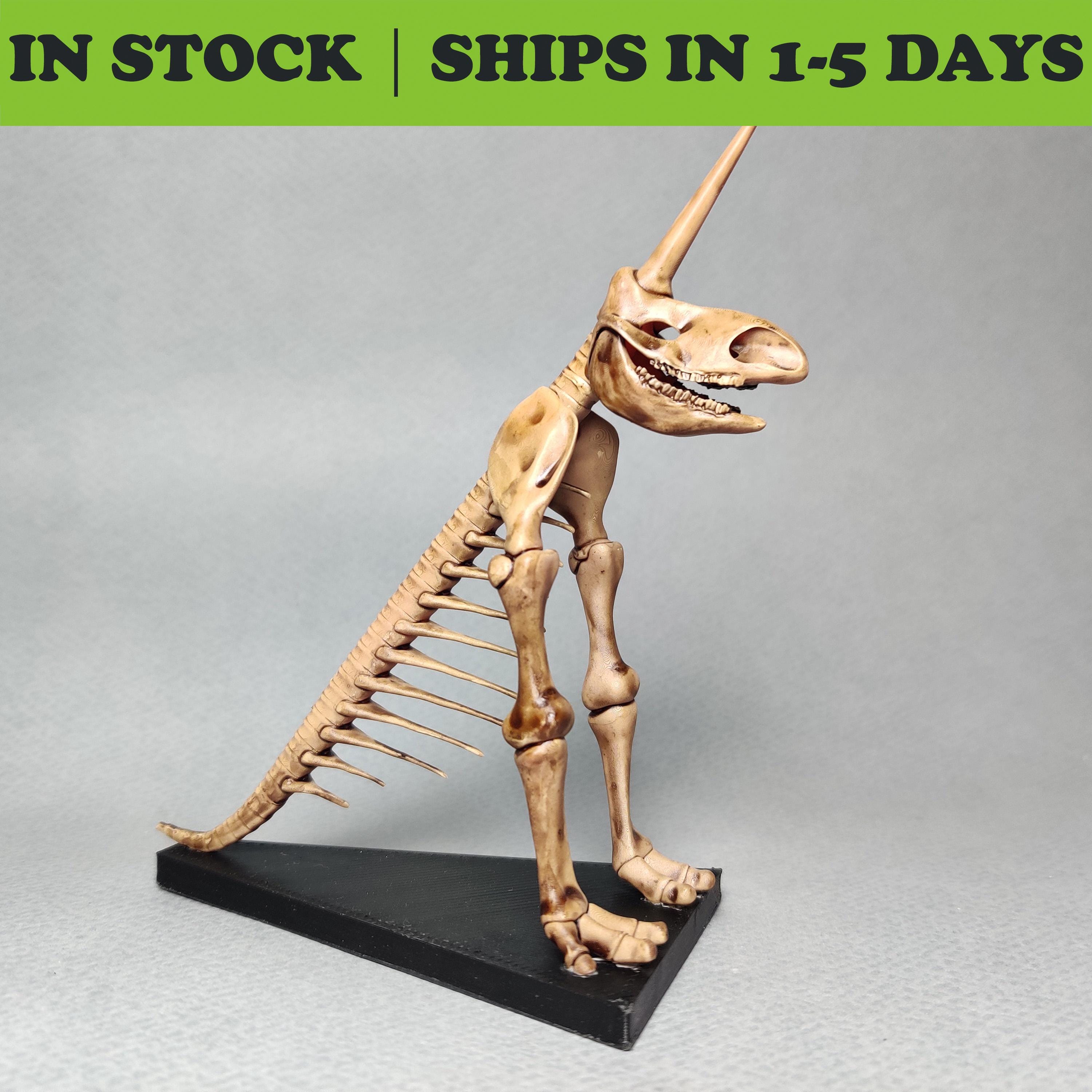 オリジナル UNEUNE ウネウネ alcicorne Madagascar オリジナル UNEUNE