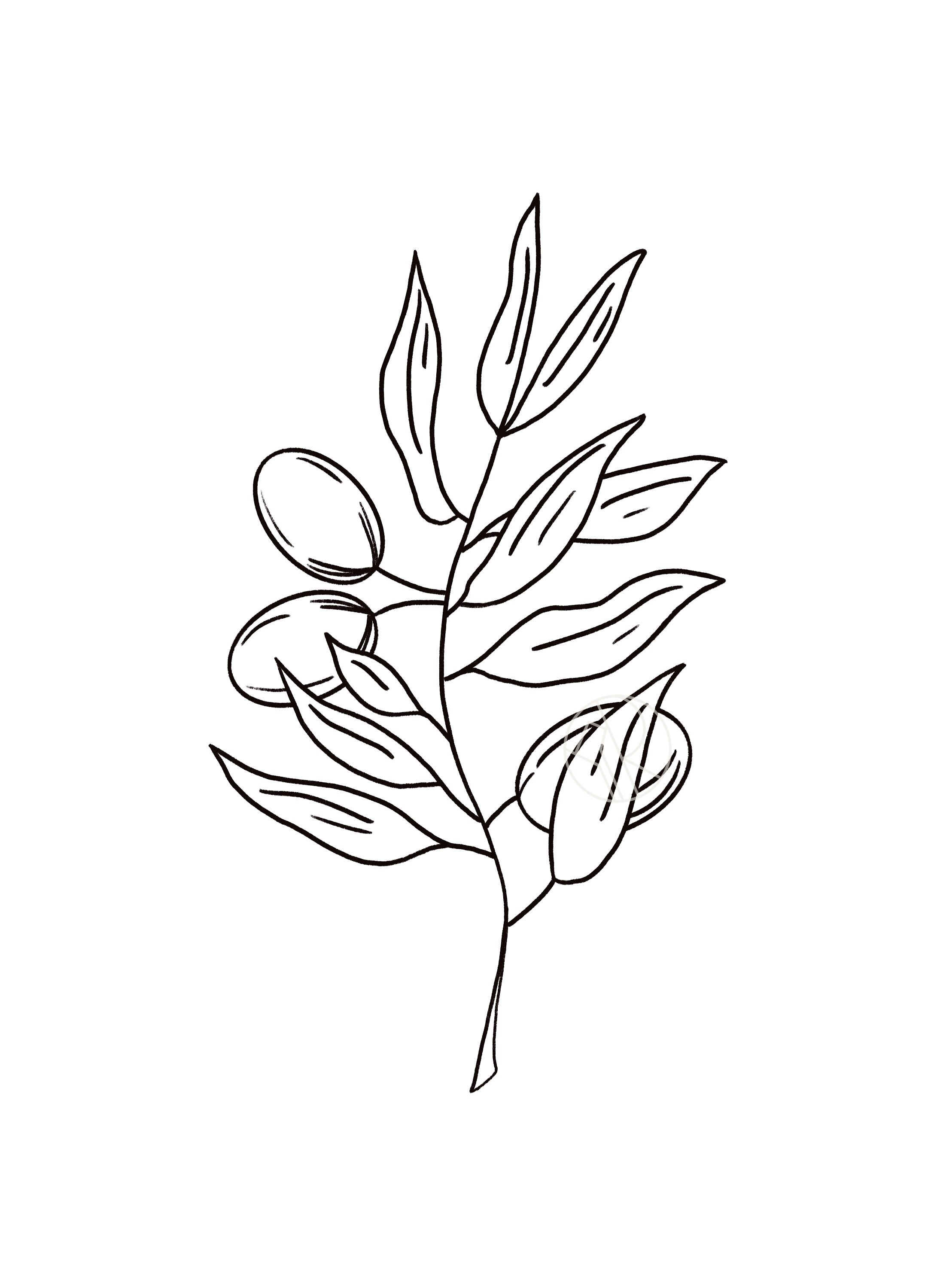 Olive Branch Line Art Digital Download Etsy UK