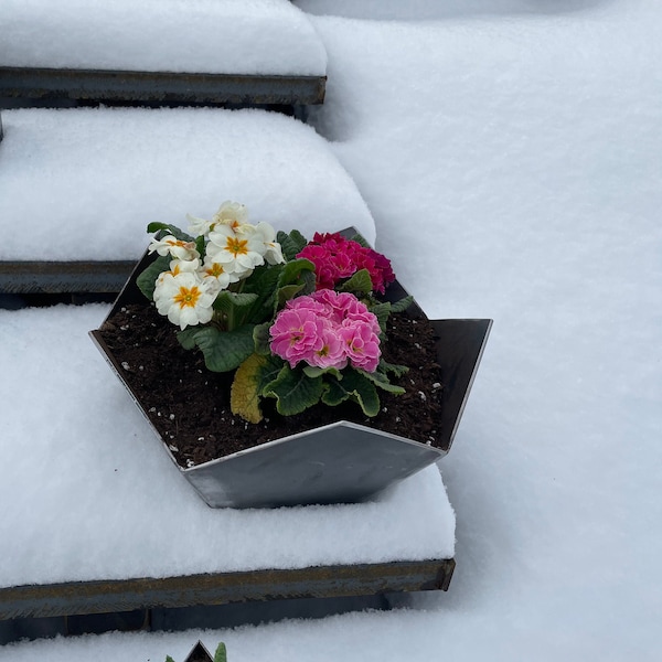 Geometric Flower Planter Pot