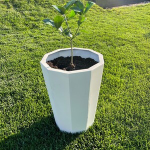 Fioriera/vaso a cerchio alto