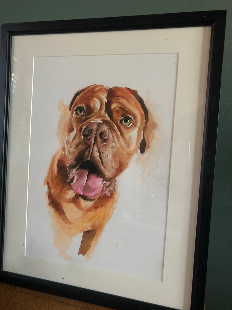 Pet portrait