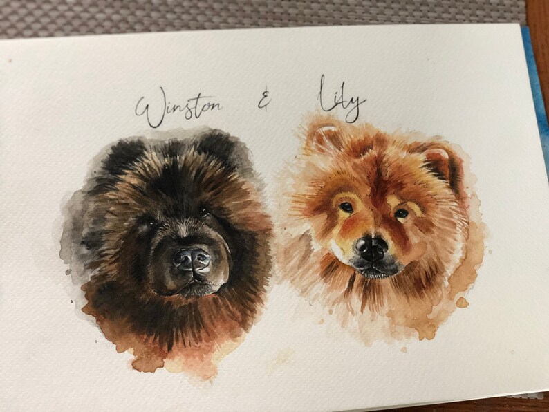 Pet portrait