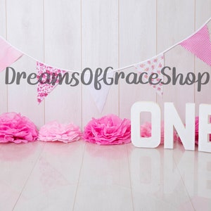 First Birthdays Cake Smash Photography Digital Backdrop Background Girl Pink