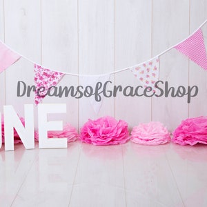First Birthdays Cake Smash Photography Digital Backdrop Background Girl Pink