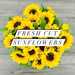 Fresh Sunflowers, Overnight Shipping
