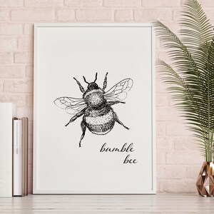 Bumble Bee Black and White print| Framed Print| Bumble Bee| Wall art decor |Wall Print | Black and White Bee| Nature print