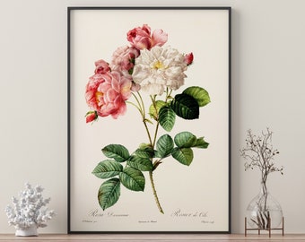 Ramo di fiori vintage rosa e bianco / Stampe incorniciate / Fiori / Botanico / Arte della parete / Decorazione per la casa / Acquerello / Botanico vintage