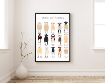 British Sheep Breeds Print  | Framed Prints | Sheep Print | Poster | Sheep Illustration | Sheep Art Print