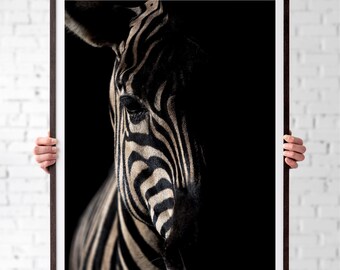 May include: A black and white zebra portrait with a dark background. The zebra's head is turned to the side, and its stripes are clearly visible.