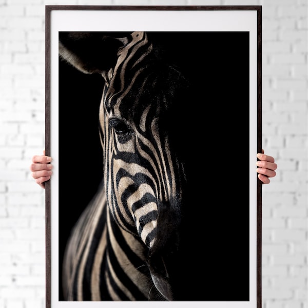 Zebra Art Print Etsy