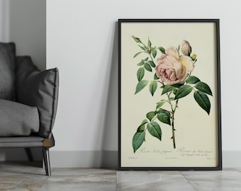 Rose Watercolour Branch  | Framed Prints |  Pink Rose | Flowers | Botanical |  Wall Art | Home Decor | Watercolour | Vintage Botanical