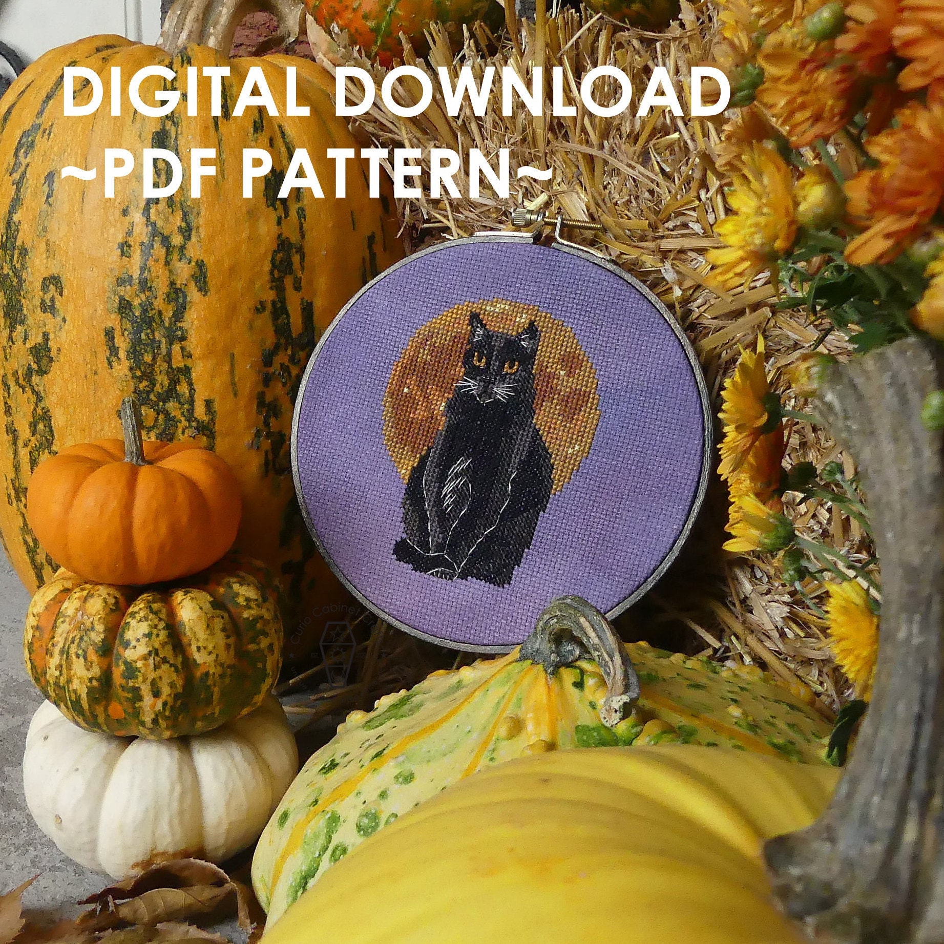 La Lune Et Le Chat Noir PDF Cross-stitch Pattern Black Cat - Etsy
