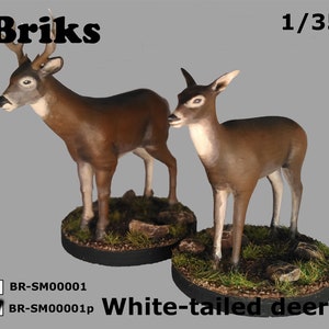 White-tailed Deers for dioramas or scale models.
