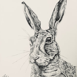 Haas - A4 zwart-witkunstdruk, pen en inkt, illustratie. Alleen levering in het VK