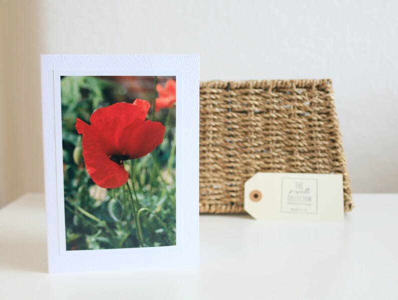 Wildflower Collection 3 Blank Handmade Photo Greeting Cards