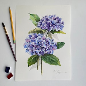 Hydrangea Watercolor Painting Blue Hydrangeas Art Floral Botanical Art Flowers Original Wall Art 14 by 10 inches image 2
