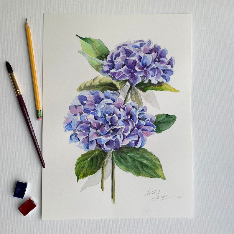 Hydrangea Watercolor Painting Blue Hydrangeas Art Floral Botanical Art Flowers Original Wall Art 14 by 10 inches image 2