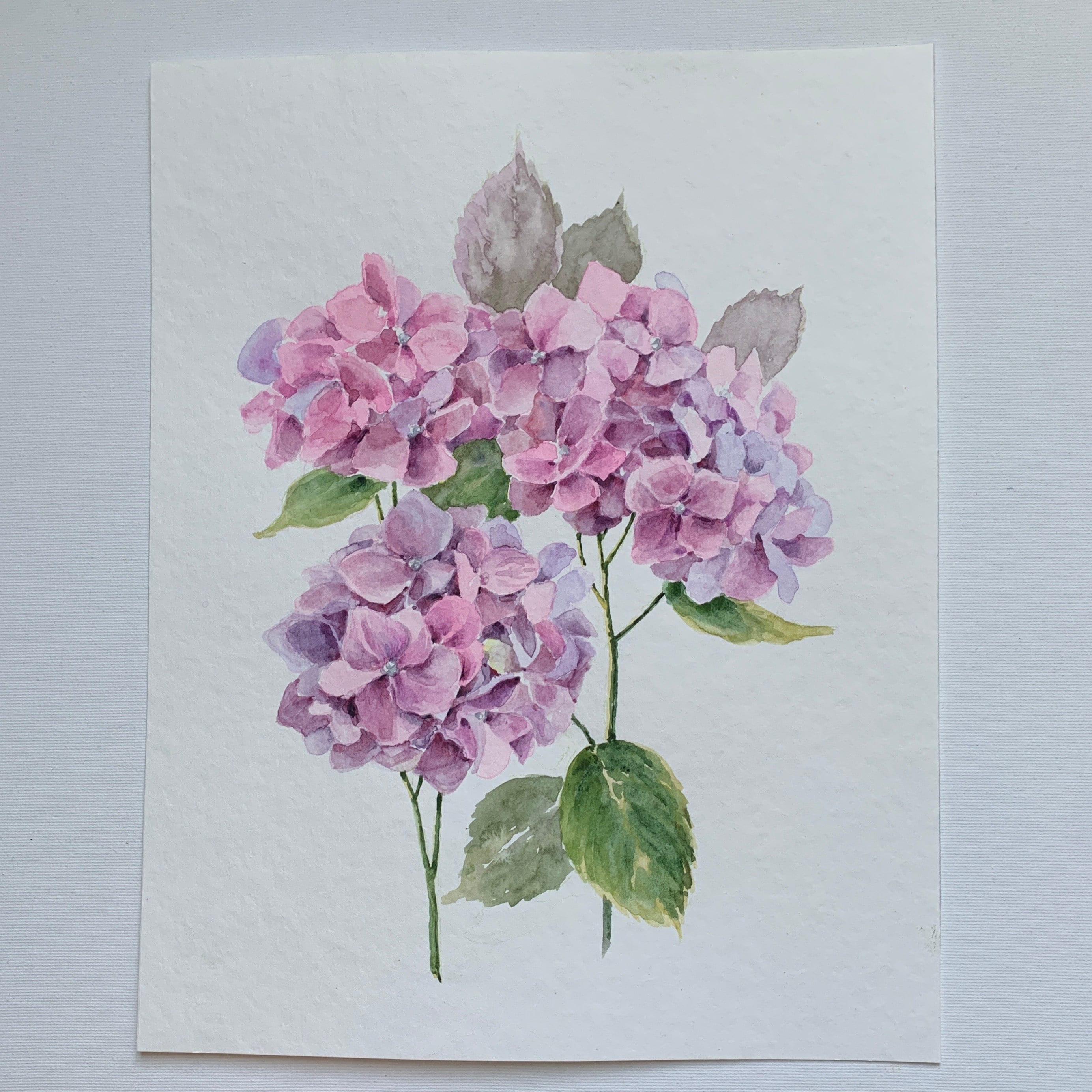 Hydrangea Flower Paintings Set of 3 Original Wall Art Watercolor Floral ...