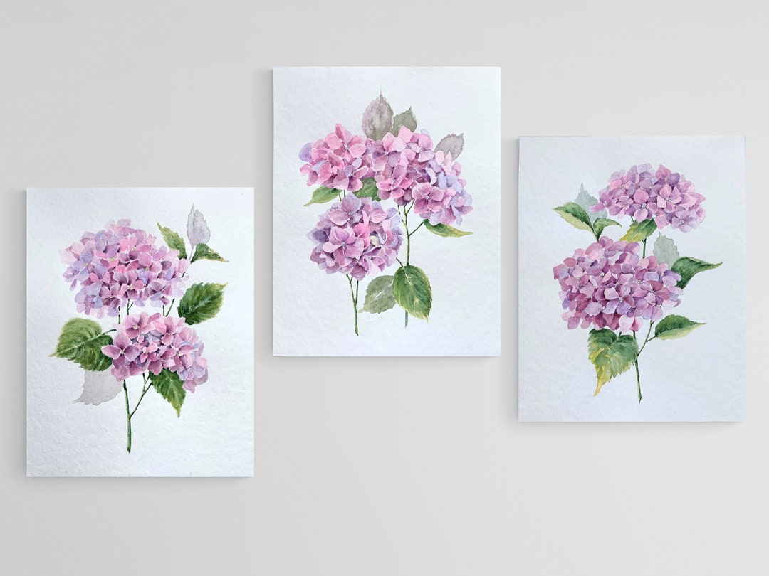 Hydrangea Flower Paintings Set of 3 Original Wall Art Watercolor Floral ...