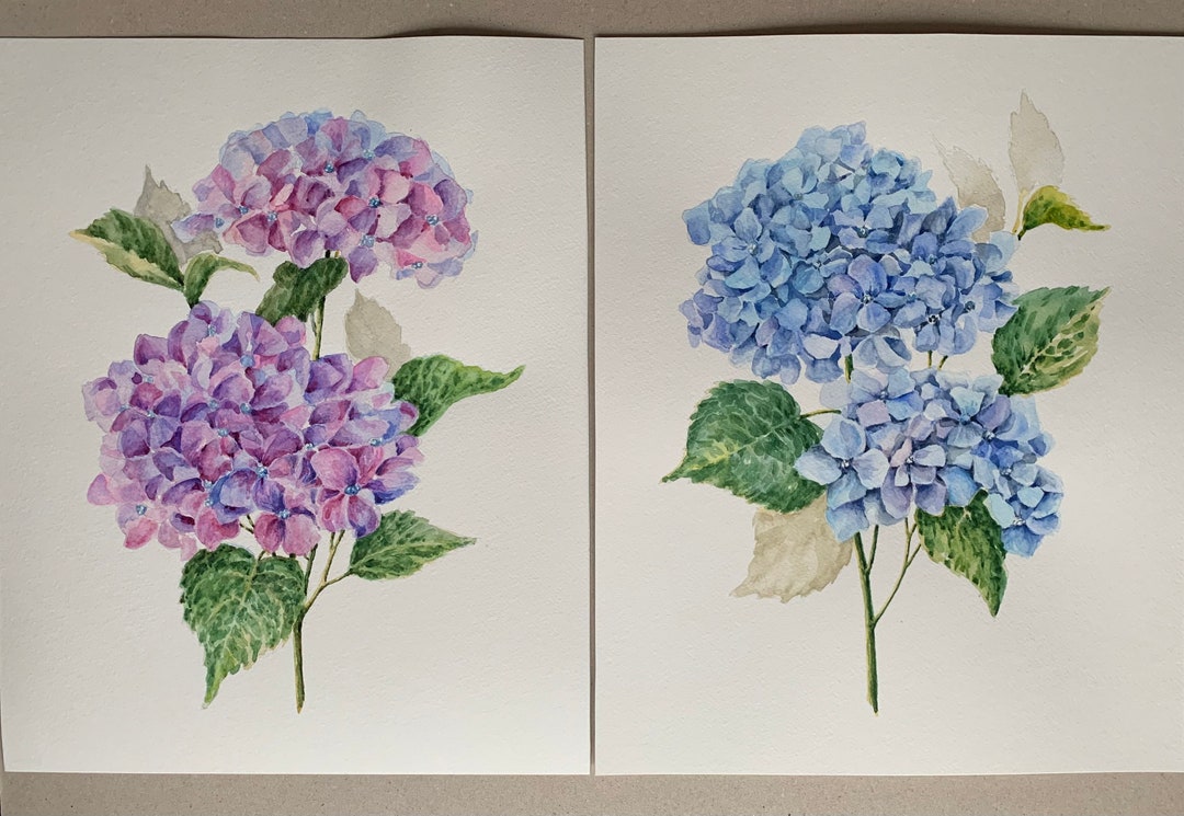 Hydrangea Flower Paintings Watercolor Floral Art Set of 2 Original Wall ...