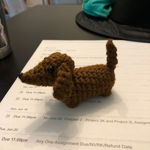 May include: A brown crocheted dachshund toy with black eyes. The toy is sitting on a white piece of paper with black text that reads "Due 11:59pm" and "Module 02: Chapter 2 - Project 2K and Project 2L Assignment".