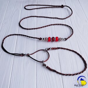May include: A brown leather dog leash with a red and silver beaded charm. The leash is made of two separate pieces, one a long cord and the other a shorter loop.