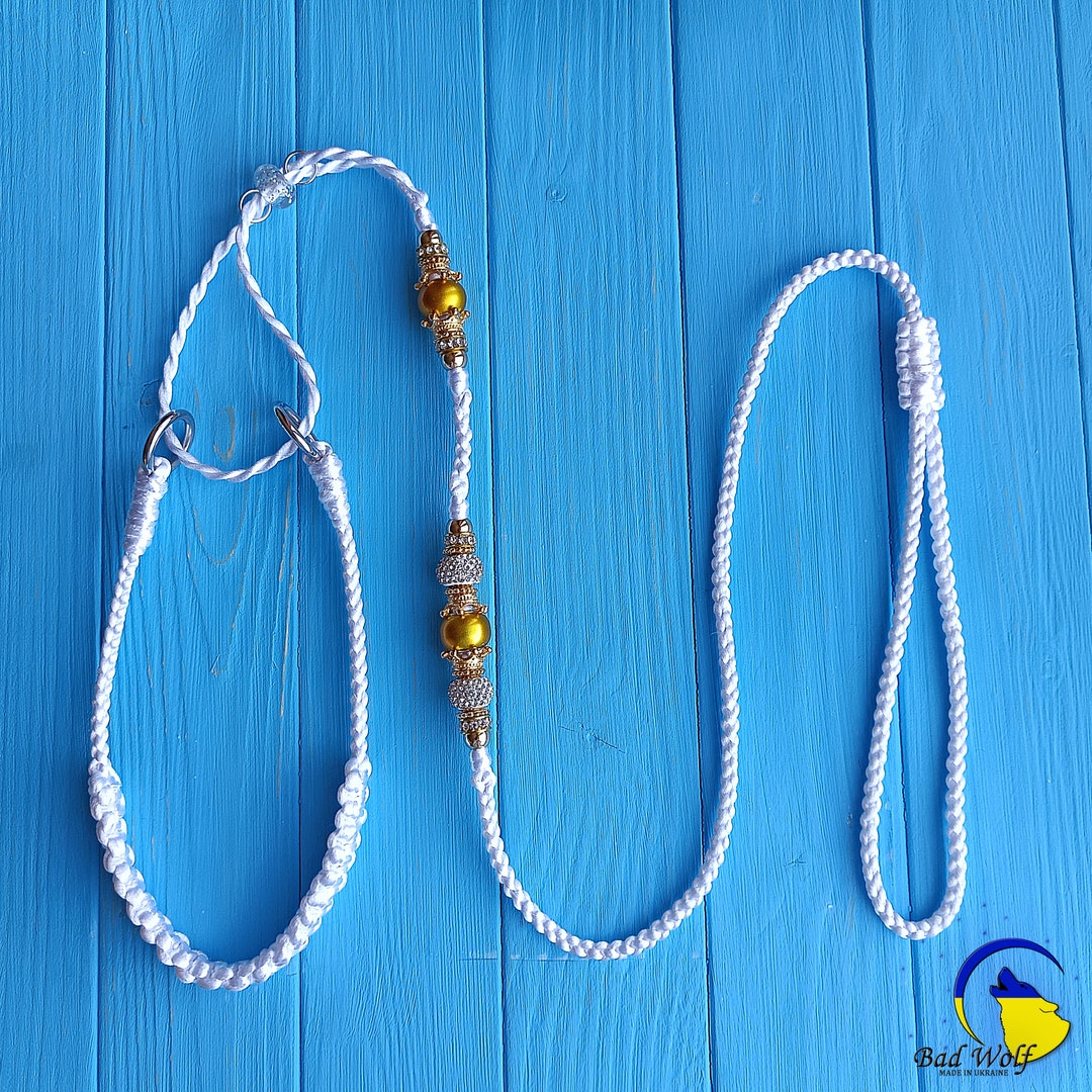 Martingale Dog Show Lead Leads Leash Dogs Dog's Mini Small Medium Large