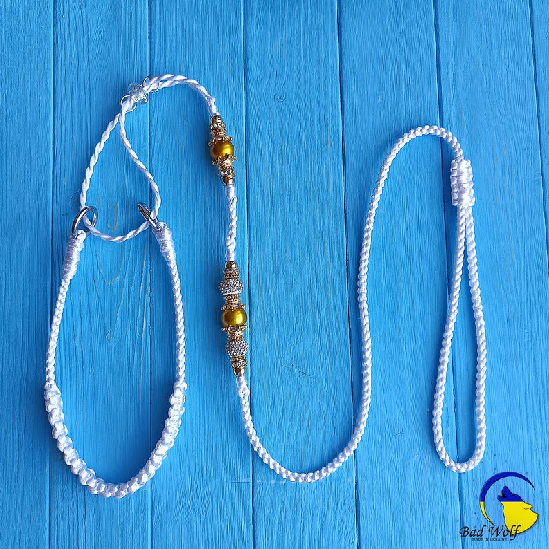 Martingale Dog Show Lead Leads Leash Dogs Dog's Mini Small Medium Large