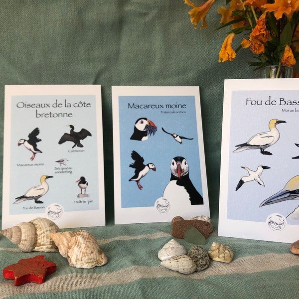 Illustrations « Oiseaux bretons »