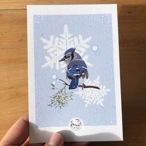 Cartes de Noël Geais bleu