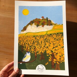 Illustration A4 Mésange