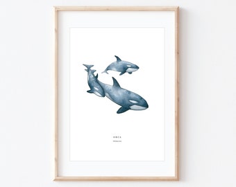 Orca Illustration, Schwertwal Aquarell Kunst, Ozean Wand Kunst, BRD Drucke