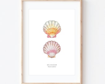 Jakobsmuschel Muschel, Aquarell Muschel Art Print, Strand Malerei, Küsten Wand-Dekor, BRD Drucke