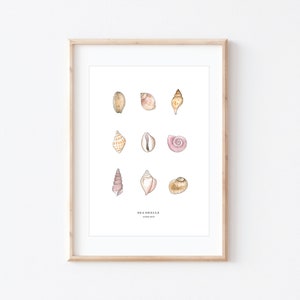 May include: A white poster with a light wood frame features a collection of nine watercolour illustrations of seashells. The poster has the text "SEA SHELLS" at the bottom.