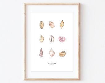 Muschelsammlung, kleine Muscheln, Ozean Aquarell, Küstenwanddekor, BRD Drucke