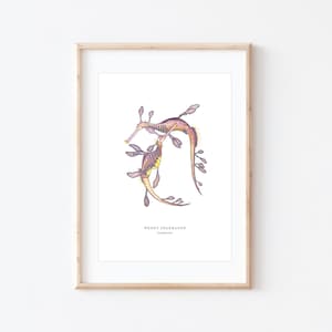 K&ouml;nnte beinhalten: Eine gerahmte Illustration von zwei Weedy Seadragons, einer Fischart, in einem hellrosa und violetten Farbschema. Die Illustration ist auf wei&szlig;em Hintergrund und der Rahmen ist in hellem Holzton. Der Text "Weedy Seadragon" und "Australian Coast" ist unter der Illustration gedruckt.