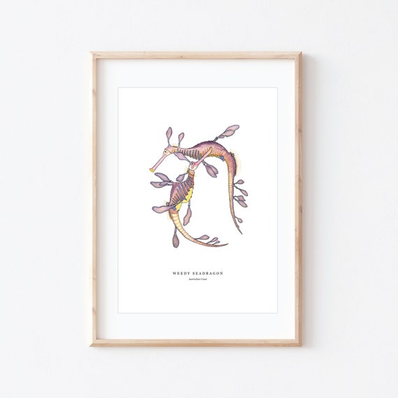 Weedy Seadragon, Ocean Watercolour, Beach Home Decor, Coastal Artwork, BRD Prints