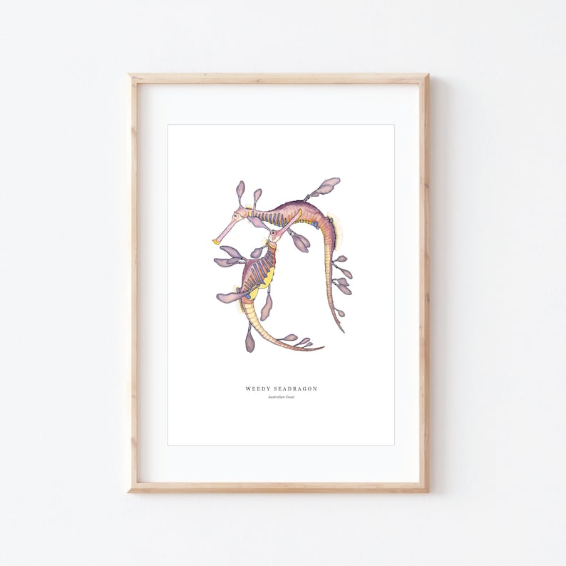 K&ouml;nnte beinhalten: Eine gerahmte Illustration von zwei Weedy Seadragons, einer Fischart, in einem hellrosa und violetten Farbschema. Die Illustration ist auf wei&szlig;em Hintergrund und der Rahmen ist in hellem Holzton. Der Text "Weedy Seadragon" und "Australian Coast" ist unter der Illustration gedruckt.