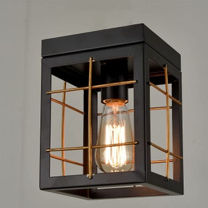 Alia Rustic Black Outdoor Ceiling Light Fixture 1-Light