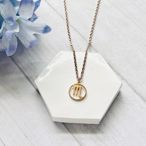 Colar do Zodíaco em ouro rosa, Capricórnio, Aquário, Peixes, Áries, Touro, Gêmeos, Câncer, Leão, Virgem, Libra, Escorpião, Sagitário, presente para ela