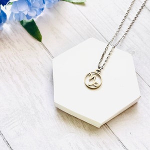 Capricorn Zodiac Necklace, Stainless Steel Pendant, Zodiac Necklace, Capricorn  Necklace, Capricorn, Pendant, Gift for Her, Pendant Necklace