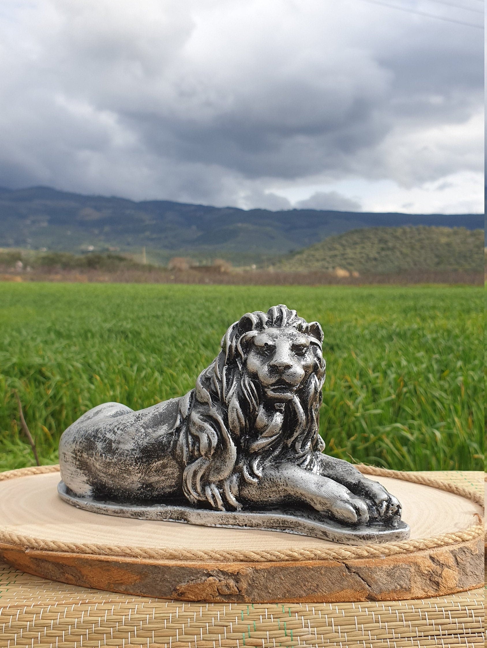 Lion Decorative Figure Home Decor Collection Gift Original Etsy