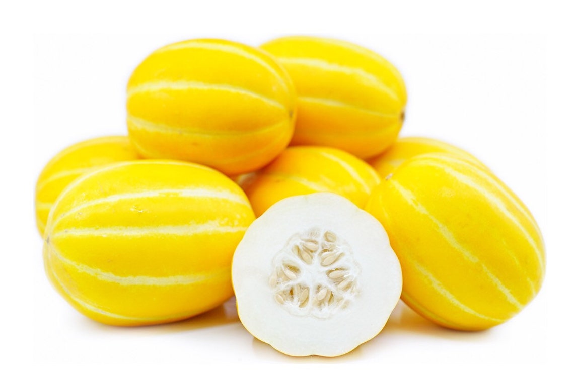 Korean Melon 20 Seeds Etsy