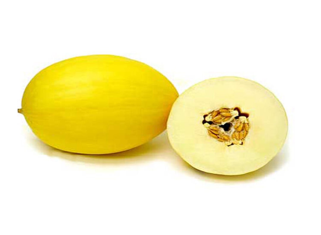 Golden beauty casaba melon 20 seeds Etsy.de