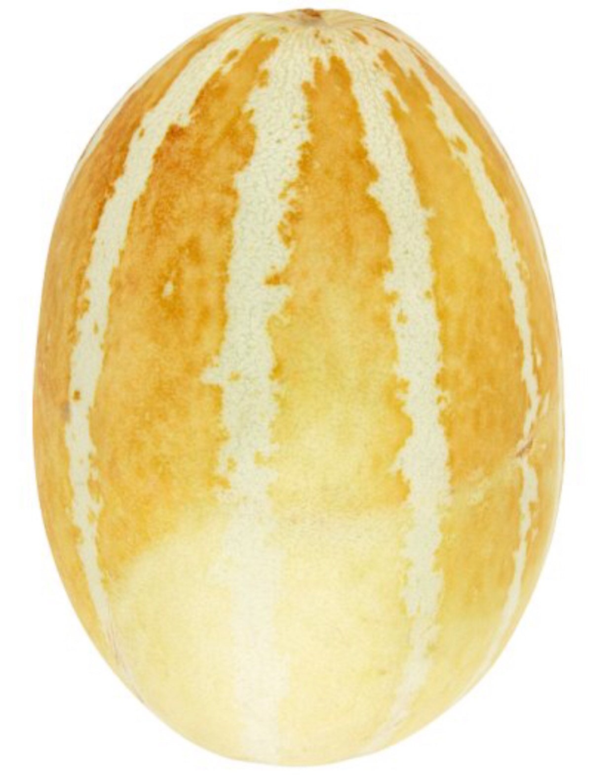 Thai Melon 25 Seeds Etsy