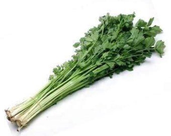 chinese celery 100 seeds