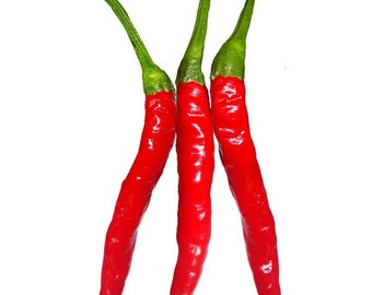 Thai hot pepper 30 seeds